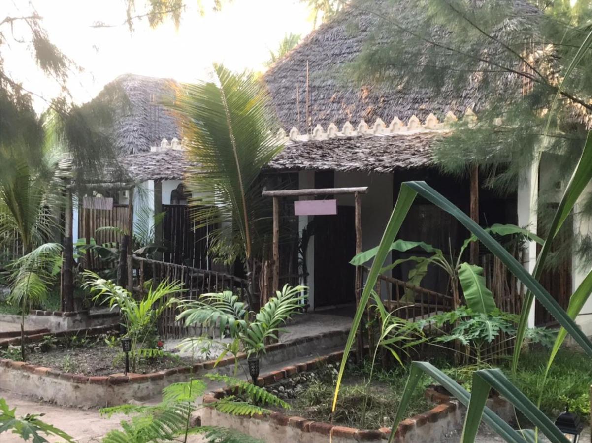 Dreamland Bungalows Michamvi Exteriér fotografie