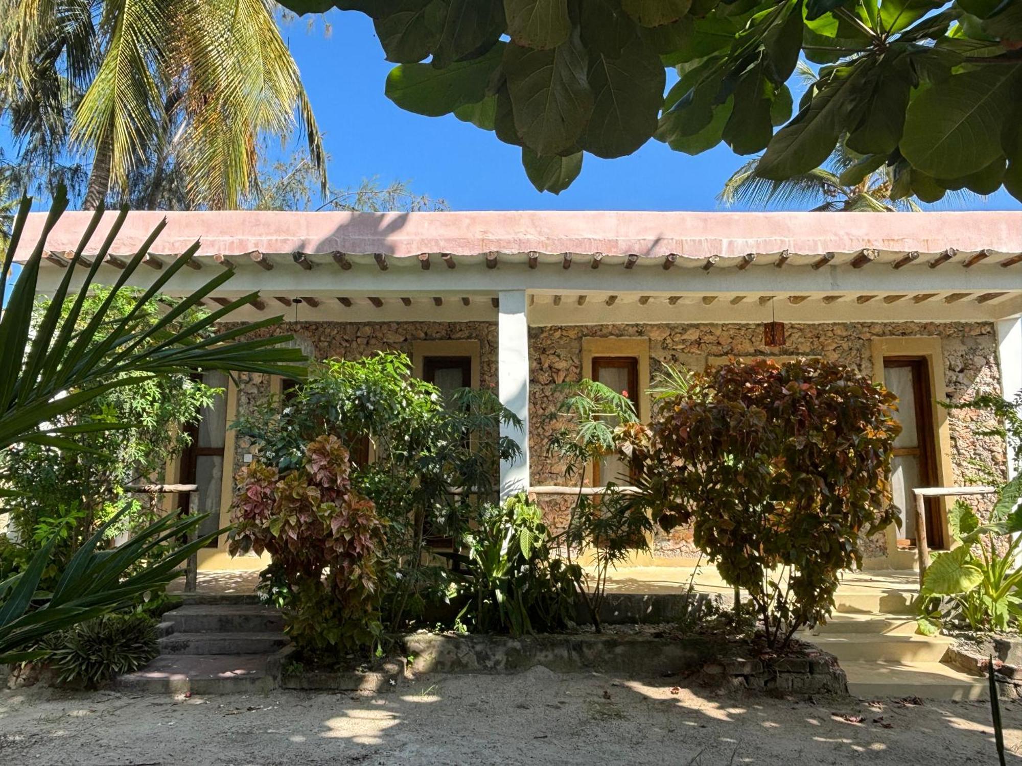 Dreamland Bungalows Michamvi Exteriér fotografie